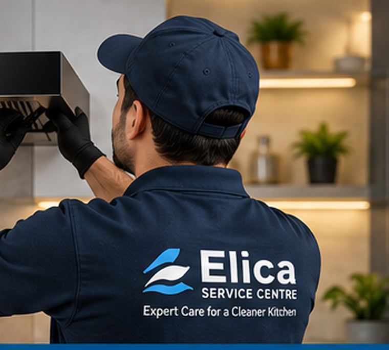 Chimney service technician illustration